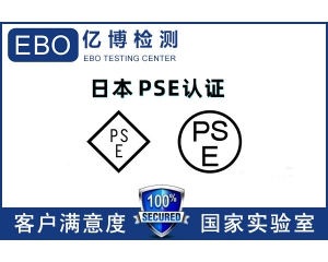 ձPSEJCC/PSEJCkʲô